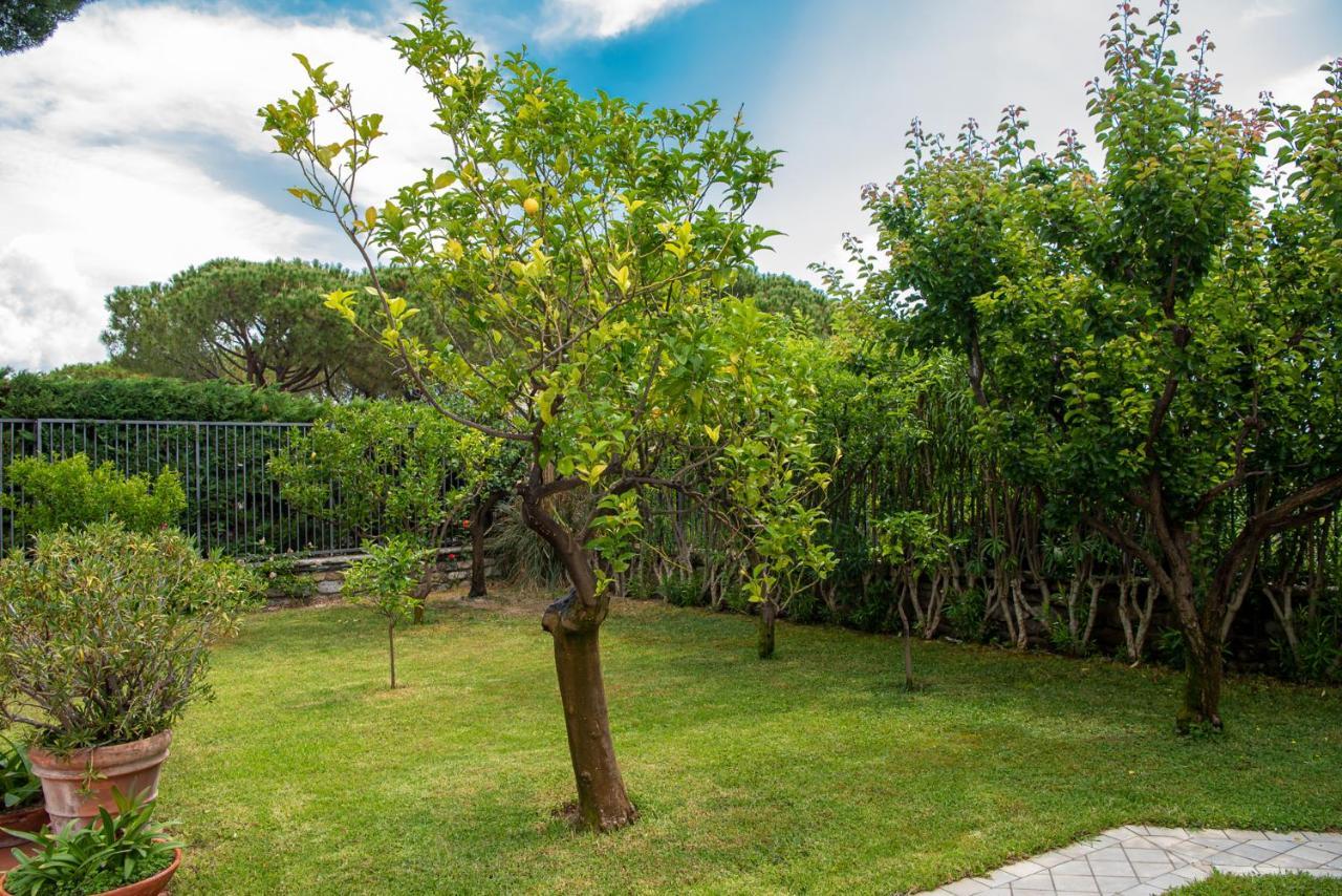 Magnificent Villa Sanremo Exterior photo